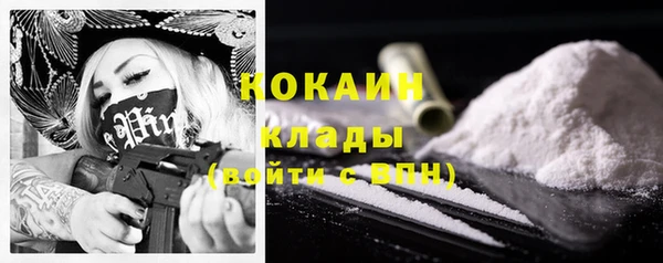 стафф Алексин