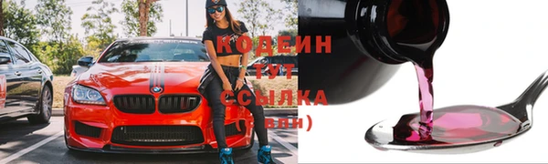 крисы Абаза