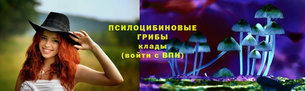 стафф Алексин