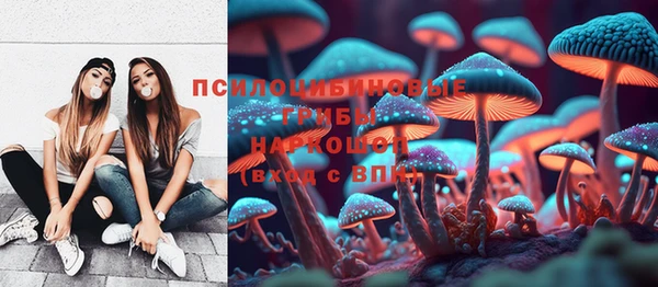 стафф Алексин