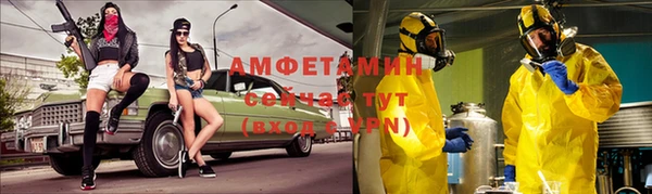 стафф Алексин