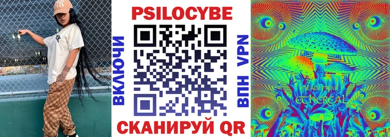 Галлюциногенные грибы Magic Shrooms  купить закладку  Ессентукская 